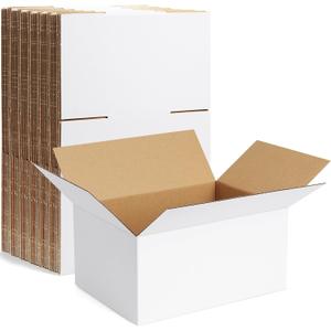 Famagic 10 Pack 8x6x4 Inch Small Shipping Boxes White Corrugated Cardboard Boxes Mailer for Small Business, Mailing Boxes for Packaging Bulk