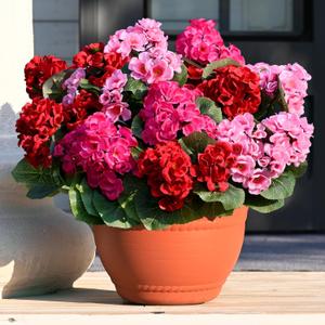 Waipfaru 6 Pcs Artificial Fake Flowers for Outdoors, Silk Geraniums Mix Color Flower, UV Resistant Outdoor Faux Plants for Garden Porch Planter Patio Balcony Yard Indoor Home Decoration(6, Mix Color)