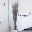 ECOVENIK 25 psc - Branches - 73 cm, Natural Birch Twigs, Pack of 20-25 Stems, Long for Floor vases, (Natural-Brown Color )