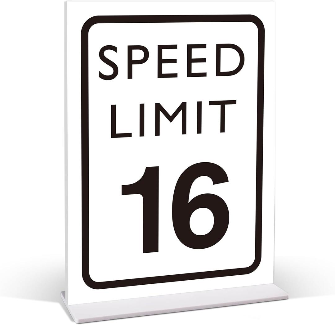 Race Car Birthday Decor, Speed Limit 16 Sign, Fast One, Race Car Birthday Party Decorations, 6x8 Inches Acrylic Sign with Stand, Let's Go Racing Party Supplies for Boy Race Fans