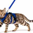PUPTECK Cat Harness and Leash Set Escape Proof for Walking, Breathable Mash Vest Adjustable Harness for Cats Puppy Small Animals, Reflective at Night, Blue Small (Neck 9"-11.4", Chest 11"-16.1")