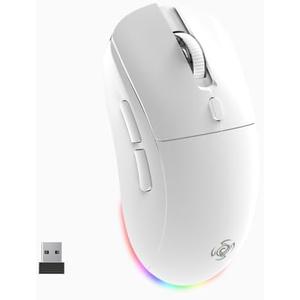 LORERAN Wireless Gaming Mouse, Tri-Mode 2.4G/USB-C/Bluetooth Rechargeable Mouse with Colorful RGB Lights, 4800DPI Optical Sensor, 6 Buttons, Ergonomic Mouse Gaming for PC, Laptop, Mac