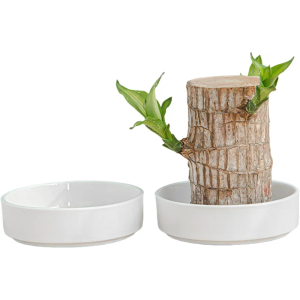 Brazilian Wood Pallet White Ceramic Saucer, Desk Decoration, Plants Pot Bottom, Pot Base Jewelry Tray Office Decor, Brazilian Wood Ceramic Tray The Dish Ceramics Flowerpot (1pcs-)