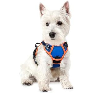 rabbitgoo Dog Harness No Pull with 2 Leash Clips, Adjustable Soft Padded, Reflective Oxford No Choke Pet Vest with Easy Control Handle for Puppy, Blue & Orange, XS