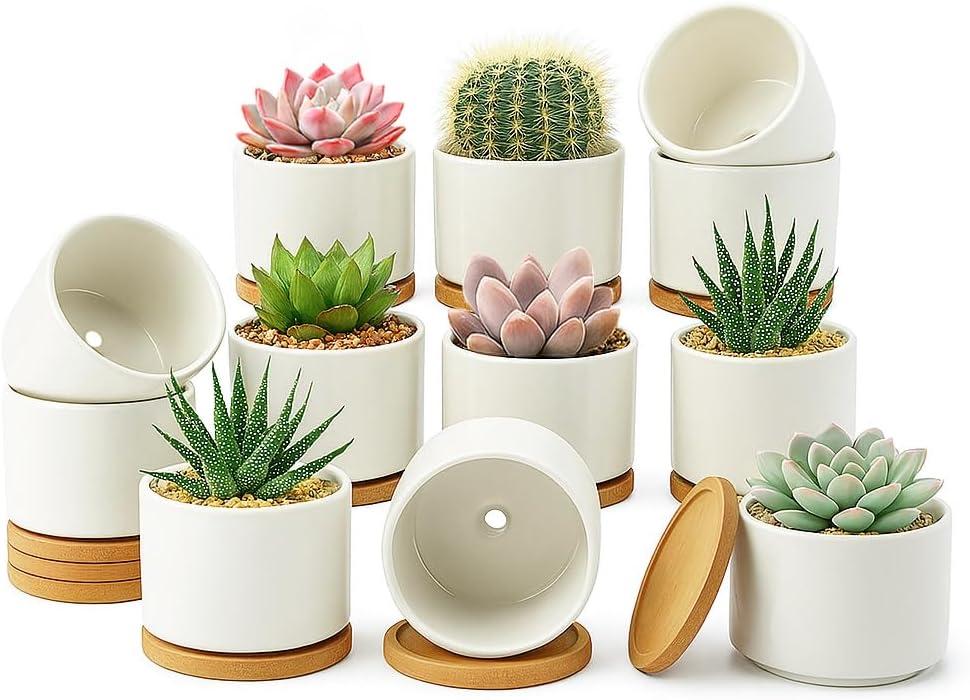 ZOUTOG 12 Pack Ceramic Succulent Pots,4 Inch Plant Pots,Succulent Planters with Drainage Hole & Bamboo Tray for Indoor Plants,White Small Flower Planters for Home,Office,Desk
