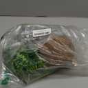 MUYG Crested Gecko Coconut Hide with Ladder,Reptile Natural Coco Shell Ladders Geckos Hideout Hut Lizards Hermit Habitat Leopard Gecko Terrarium Plant Accessories for Chameleon Snakes