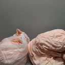 CozyLux Queen Comforter Set Blush Pink Seersucker 7 Pieces Bed in a Bag Queen Comforter Set with Sheets, Luxury Soft Bedding Set with Down Alternative Comforter, Sheets, Pillowcases & Shams All Season