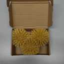 Classic Dish Brush Replacement Head 3 Packs, Natural Bristle Tampico Fiber for All Purpose Cleaning, Kitchen Scrubber