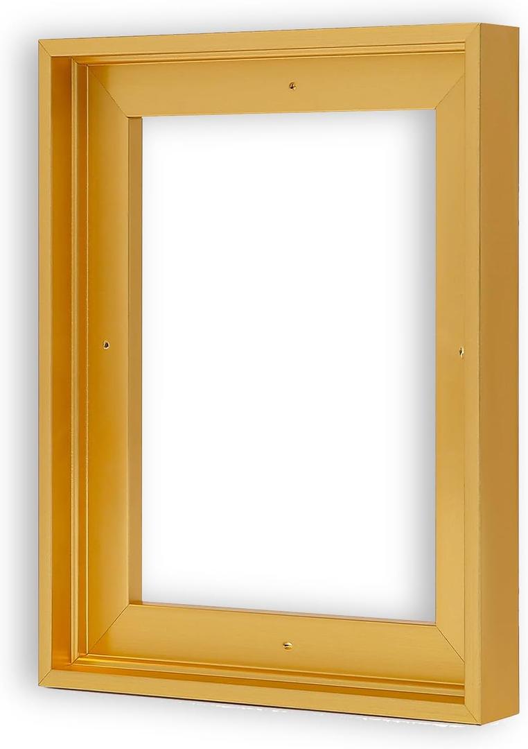 Canvas Floater Frames for 16"x20"Canvas Paintings,Canvas Frame,Floating Frames for Canvas with 0.6"~0.9" Deep for Wall Decor (Gold)