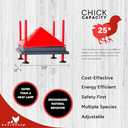 RentACoop 12x12 Inch Adjustable Heating Plate with Bonus Foldable Anti-Roost Cone for up to 20 Chicks | Small Chick Brooder Heat Plate  Energy-Efficient and Safer Than Heat Lamps