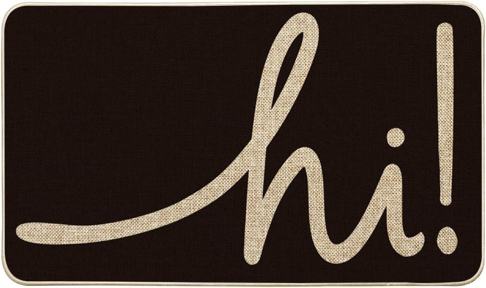 Artoid Mode Black Hi Doormat, Home Decor Low-Profile Switch Rug Welcome Door Mat Floor Mat for Front Door Indoor Outdoor 17x29 Inch