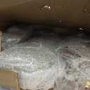 Shintenchi 3-Piece LED Lighted Christmas Deer Outdoor Yard Decorations, 3D Super Large Christmas Reindeer Decor, Outdoor Lighted Holiday Deer with 360 LED Displays for Front Yards Garden Lawn Patio