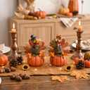 Valery Madelyn Fall Decorations for Home, 2 Pcs Thanksgiving Turkey Pumpkin Decor for Table Indoor Outdoor, Resin Fall Decor Sunflower Garden Figurines for Autumn Harvest Porch Tiered Tray, 5"
