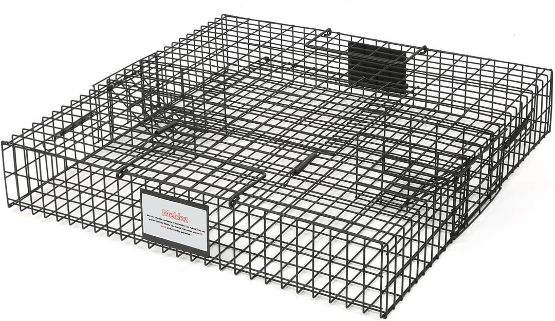 Squirrelinator Metal Wire & Heavy Duty, 2 Door Humane Live Squirrel Catch & Release Cage Trap, Holds up to 25 Squirrels, 1 Trap