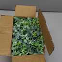 Dolicer 2 Packs 12 FT Artificial Eucalyptus Garland, Faux Greenery Garlands with Boxwood Flowers, Fake Silver Dollar Eucalyptus Leaves Vines for Wedding Table Wall Party Home Decoration, Fushia