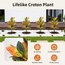 UV-Resistance 35inch Artificial Croton Plant, 2 Pack Fake Croton with Ground Spike, Faux Fiddle Leaf Fig Tree for Outdoor Home Decor