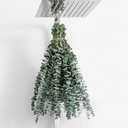 1 Pcs Dried Eucalyptus Stems 17" Real Eucalyptus for Shower Hanging 100% Made from Fresh Leaves, Wedding, Home, Farmhouse, DIY Spring Decor