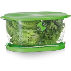 Prep Solutions by Progressive Lettuce Keeper Produce Storage Container, 4.7 Quarts, Green (LKS-06)