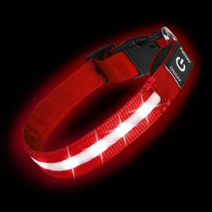 Super Bright LED Dog Collar - Fully Waterproof & Adjustable Glow Collar - USB-C Rechargeable for Night Walking, Safety - Flashing Lighted Collar for Dogs(Red,Large)
