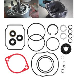 70525 Pump Seals Kit Overhaul Seal Kit for Hydro Gear BDP-10A Pump Comprehensive Maintenance, For Ariens/Exmark Various Models, 24-Piece/Set