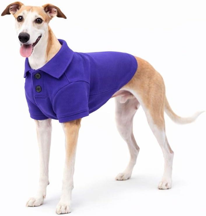 Lovelonglong Basic Dog Polo Shirts Premium Cotton, Polo T-Shirts for Dogs with a Two-Button Collar Blank, Color Purple, XXL
