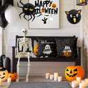 Halloween Pillow Covers 18x18 Set of 2 Throw Pillow Cases Soft Cushion Case Pillowcase for Chair Sofa Bedroom Living Room Home Decor, Polka