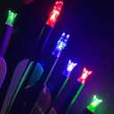 Bgary Lighted Nocks .204'' .244'' ID Led Archery Arrows Nocks 6Pcs for Hunting Shooting Practice (.204''/5.3mm Green)