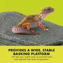 Zilla Herp Hotel, Naturalistic Hide and Basking-Platform for Leopard Geckos, Bearded Dragons, Anoles, Large
