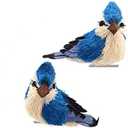 Blue Jay With Clip Ornaments, 2 Assorted