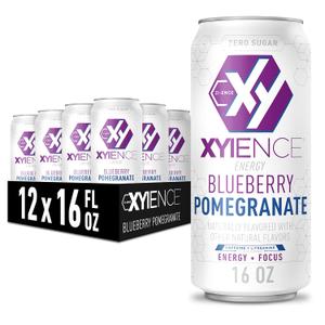 Xyience Blueberry Pomegranate Energy Drink, 16 fl oz can (Pack of 12)