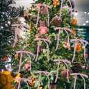 12Pcs Pink Velvet Christmas Tree Bows Ornaments Vintage Velvet Ribbon Bows for Tree Garland Wreath Indoor Outdoor Christmas Decor Xmas Decorations 1'' Wide, 5 * 7 inch