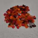 Midlee Thanksgiving Turkey Decorative Dog Collar (Large)