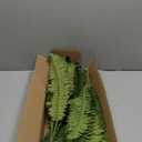 Fake Ferns - Set of 2 Faux Boston Ferns Large Artificial Plants, 40 Leaves per Bouquet, 35 Inches Large Artificial Ferns for Outdoors/Indoor Home, Office, Garden Decoration