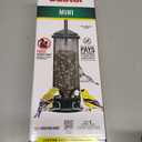 Squirrel Buster Mini Squirrel-Proof Bird Feeder for Wild Birds 4 Metal Perches, 1 lb Seed Capacity, Chew-Proof Design, Lifetime Care, Garden Green