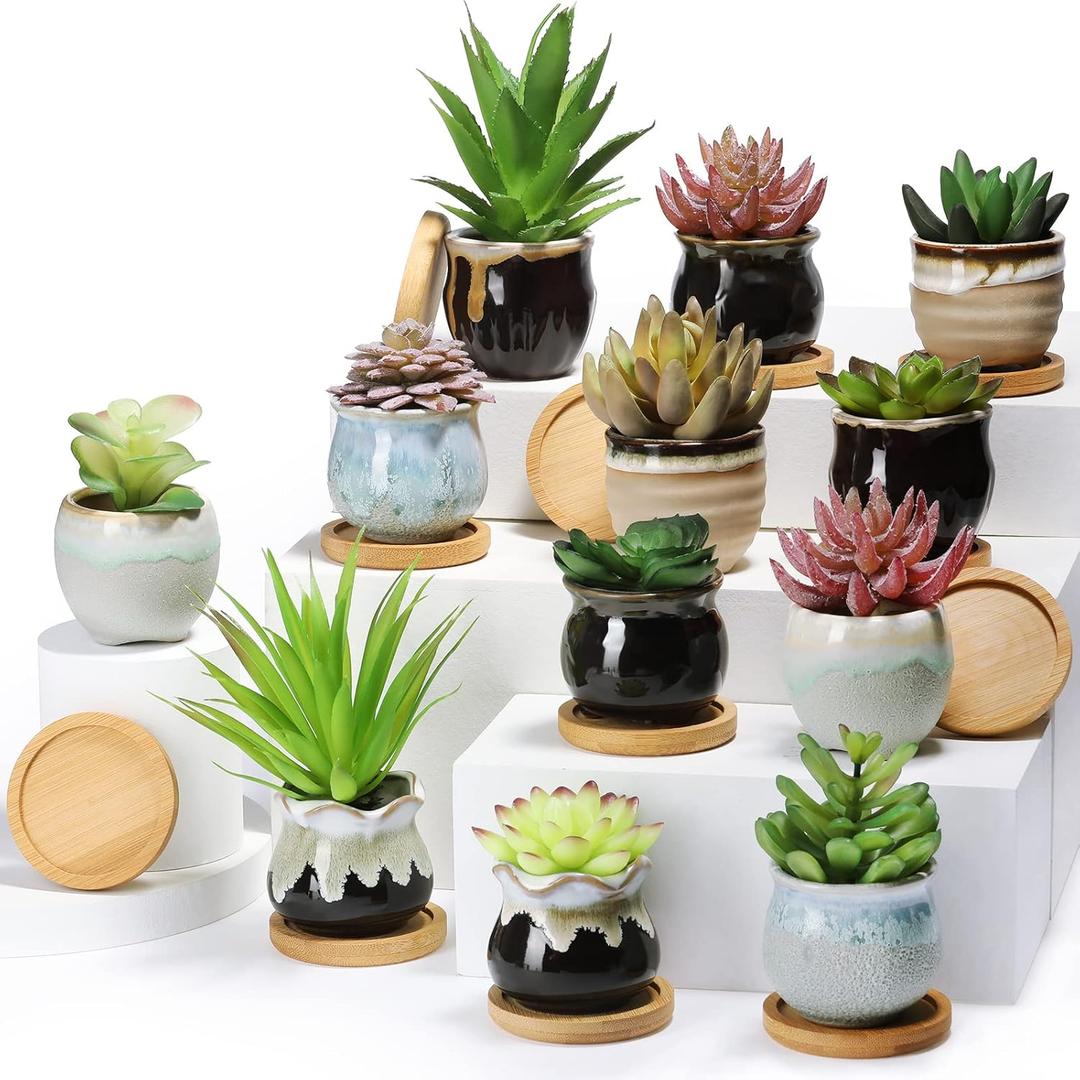 Remerry Set of 24 Small Succulent Pots Bulk with Drainage Assorted 2.5 Inch Mini Ceramic Succulent Planters Pot with Coaster Bamboo Plant Tray Planting Pots for Home Office Garden (Rich Color)