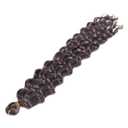 Water Wave Twist Crochet Hair Natural Synthetic Crochet Braids Hair Ombre Braiding Hair Extensions For Women 4 22inches#1Pcs