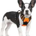 rabbitgoo Dog Harness No Pull with 2 Leash Clips, Adjustable Soft Padded, Reflective Oxford No Choke Pet Vest with Easy Control Handle for Small Dogs,Orange,S