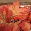 Timer - Thanksgiving Decor, 5 Pack Fall Garland Lights Total 100LED 50Ft Enlarged Maples Leaf Garland String Lights Battery Operated Thanksgiving Garland for Home Indoor Outdoor Halloween Christmas