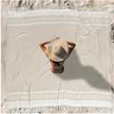 Oversized Turkish Beach Towel Blanket XXL Cotton Sandproof Towels Boho Woven Extra Large Big Sand Free Giant Throw Blankets Huge Quilt XL Picnic Camping Necessities Cloud for Adult Gifts (Z Beige Mtb)