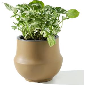 Geometric Ceramic Plant Pot, 6 Inch Planter with Drainage Hole and Removable Rubber Plug, Indoor and Outdoor Garden Flower Pots for Home Dcor,Brown