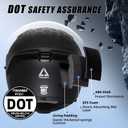 TRIANGLE Motorcycle Helmets Full face Helmet for Adults Men and Women Dual Visor with Internal Sunshield DOT Approved (Black Gray, Large)
