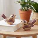 Novabright 2 Pcs Boho Bird Figurines Home Decor Retro Animal Statues Decorative Birds Statue Sculpture Trinkets for Shelf Decor Living Room Bedroom Office Bookshelf Desktop Bird Lovers Collection