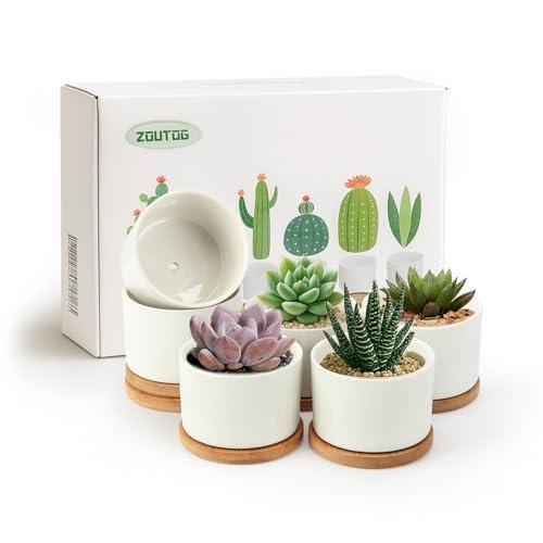 ZOUTOG Succulent Pots 3.1 Inch,6 Pack Succulent Planters,Small Pots for Plants with Drainage and Tray,White Ceramic Flower Planters for Indoor Plants,Home,Office,Desk