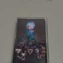Fossora, Björk, Format: Audio Cassette