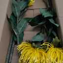 Hollyone 3Pcs Yellow Artificial Flowers Mums Spider Mum Flower 28.3'' Long Stem Fake Chrysanthemum Flowers Leucospermum Cordifolium Arrangement Faux Pincushion Flowers Bouquet for Office Home Decor