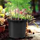 RooTrimmer 5 Gallon Nursery Pots 10-Pack, 12 Inch Plastic Planter with Drainage Holes Round, Sturdy, Deep Design for Indoor/Outdoor Plants
