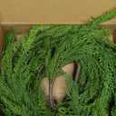Real Touch Cedar Garland 6ft