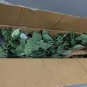 3ft Ficus Artificial Trees with Natural Curved Trunks, 36" Tall Lush Faux Tree for Home Decor Indoor, Green Lifelike Fake Ficus Tree Artificial Plants(Set of 2)