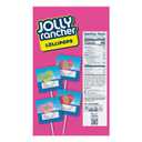 JOLLY RANCHER Assorted Fruit Flavored, Lollipops Box, 9.2 oz (20 Pieces) (EXP 09/30/26)