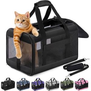 Cat Carrier Airline Approved, Soft-Sided Dog Carrier with Inner Safety Leash, Pet Transport Carrier for Small-Medium Cats, Puppies up to 15 Lbs, Collapsible Travel Kitten Carrier Bag -Black M (17.0"L x 11.0"W x 11.0"H)